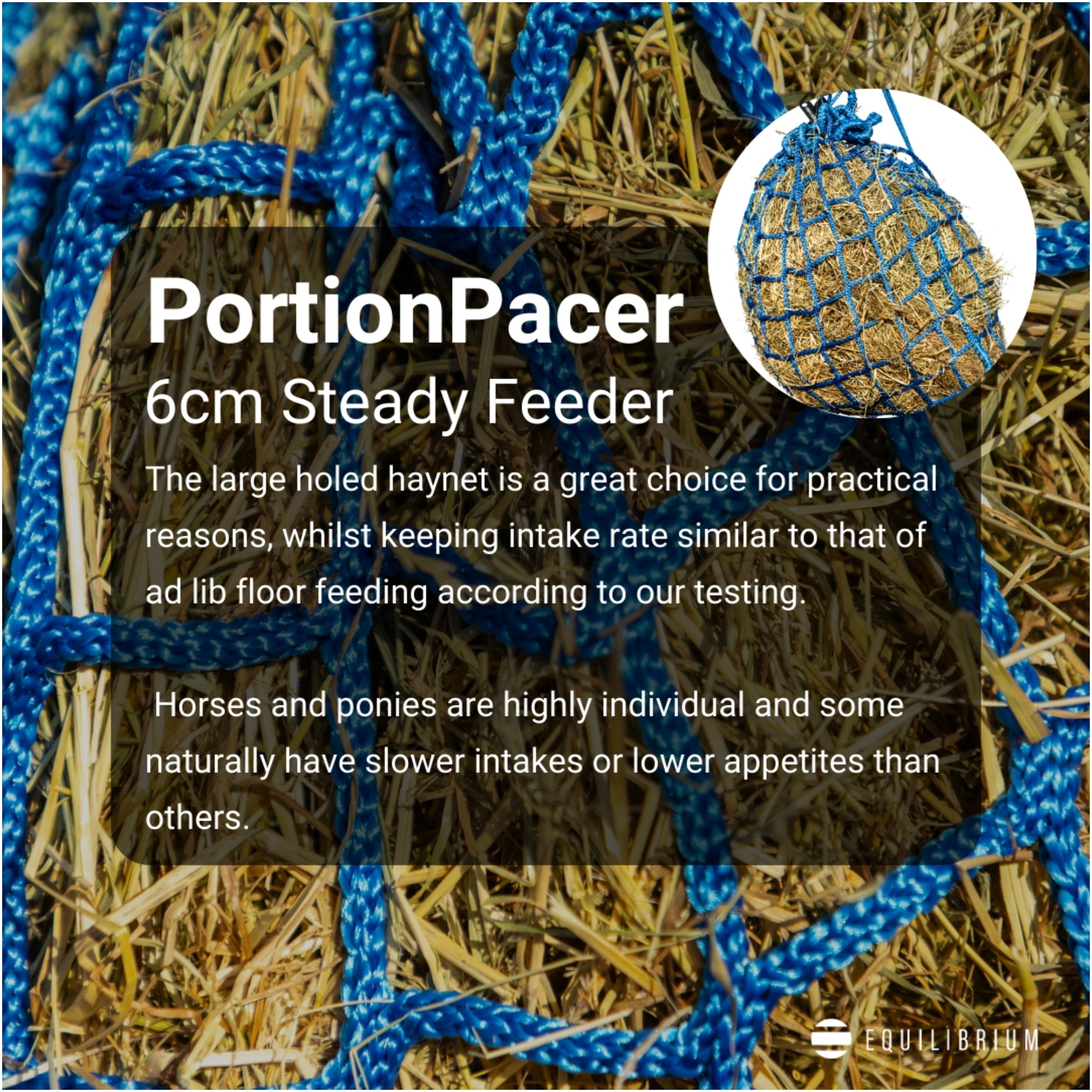 Equilibrium PortionPacer Large Holed Haynet (6cm) Safety Feeder EQB1697 - Blue